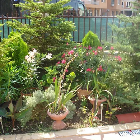 Lejlighed Summer Breeze