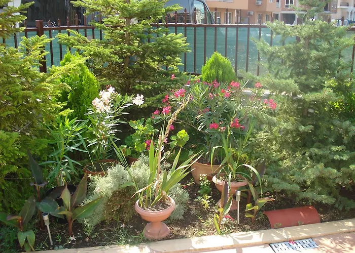 Apartment Summer Breeze